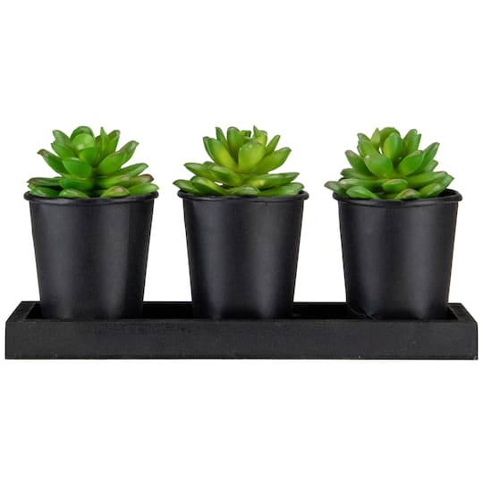 10" Potted Succulents with Wood Planter Set By Northlight in Black | Michaels®